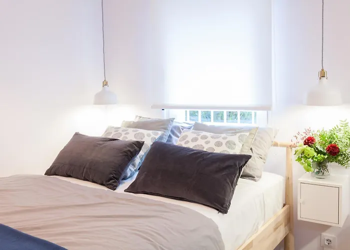 Charming Madrid Lofts